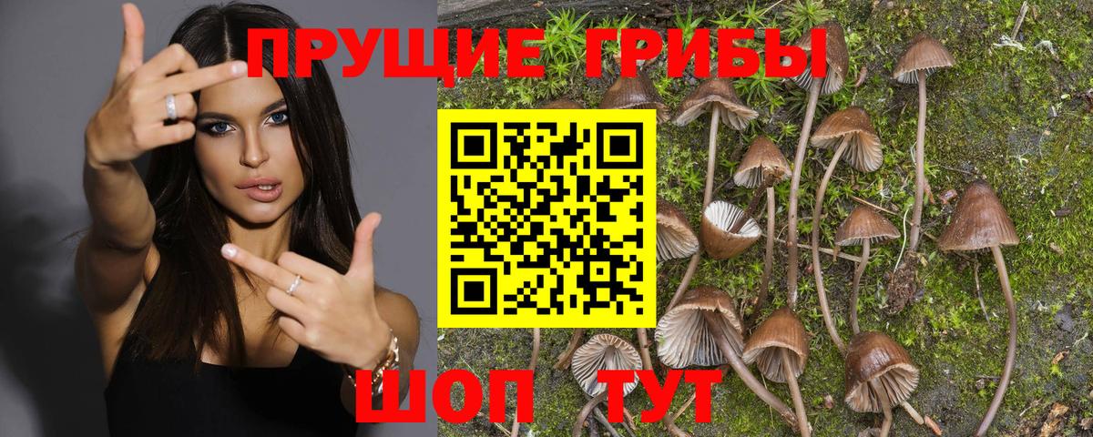 Канаш  Псилоцибиновые грибы ЛСД  Вход с VPN 