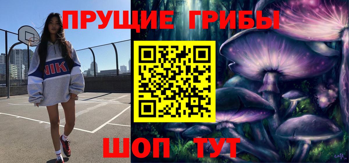 Галлюциногенные грибы Cubensis Канаш
